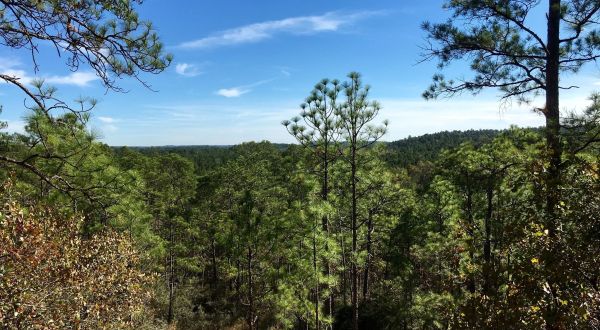 The Trail In Louisiana That Will Lead You On An Adventure Like No Other