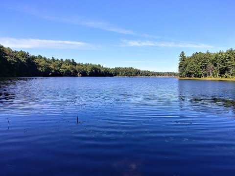 This Stunning Natural Area In Massachusetts Is Picture-Perfect For A Day Trip