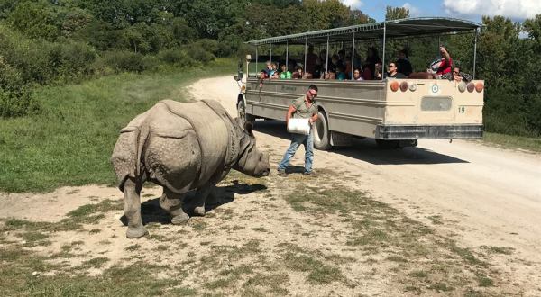 8 Once-In-A-Lifetime Animal Encounters You Can Have Right Here Around Cincinnati