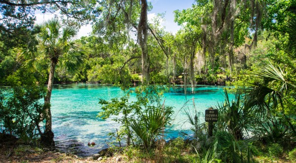 The Natural Swimming Hole In Florida That Will Take You Back To The Good Ole Days