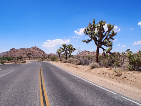 10 Roads With The Best Windshield Views In All Of Southern California