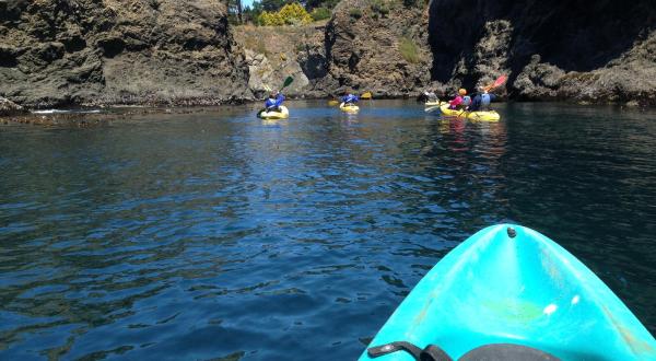 You Can Tour These Sea Caves In Northern California And It’s Positively Magical