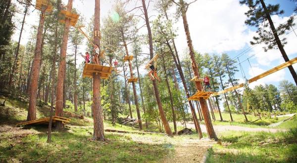 The Treetop Trail That Will Show You A Side Of South Dakota You’ve Never Seen Before