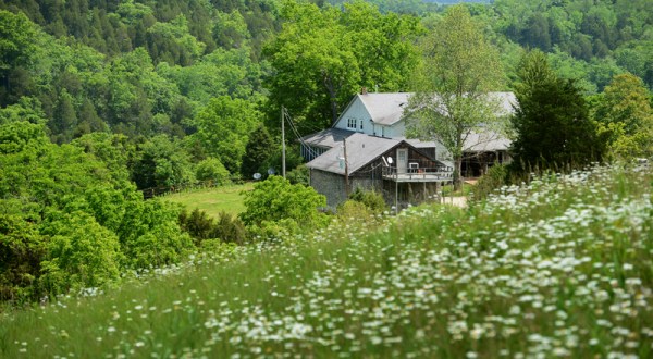 You Can Have A Picture Perfect Stay At The Most Beautiful Farm In Kentucky