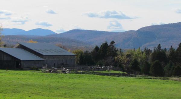 Go Llama Hiking Through The Fields On This Unforgettable Vermont Adventure