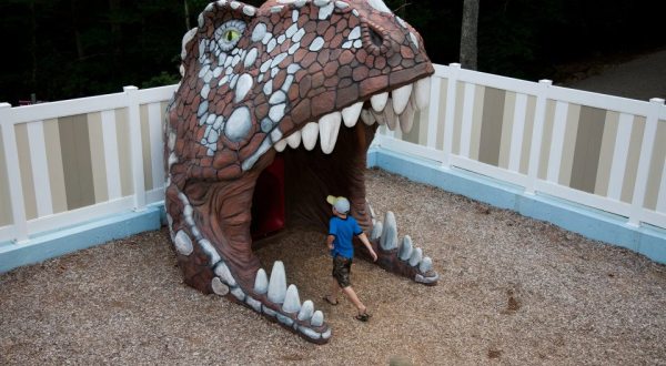 The Dinosaur Themed Maze In Connecticut Your Kids Will Go Crazy For