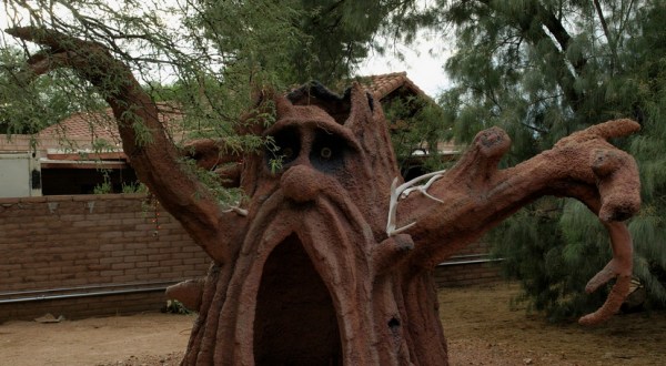Most People Have No Idea There’s A Fairy Garden Hiding In Arizona And It’s Magical