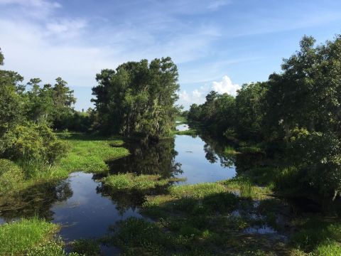 9 Low-Key Hikes In Louisiana With Amazing Payoffs
