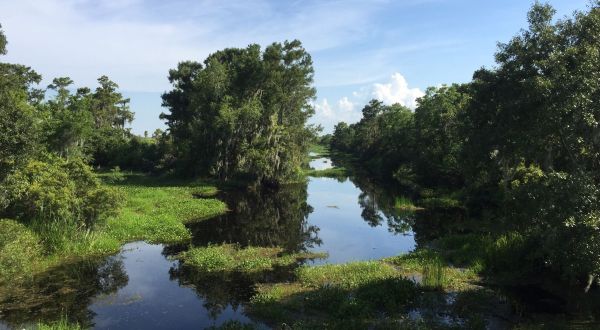 9 Low-Key Hikes In Louisiana With Amazing Payoffs