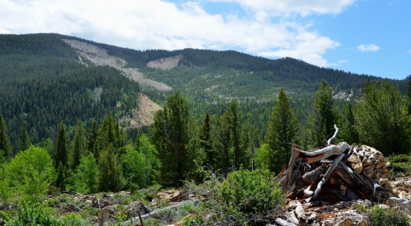 The 8 Most Horrifying Disasters That Ever Happened In Wyoming
