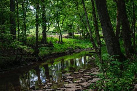 This Quaint Little Trail Is The Shortest And Sweetest Hike Near Nashville