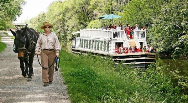 There’s A Mule-Pulled Canal Ride In Illinois That Is The Most Unique Thing You’ll Ever Do