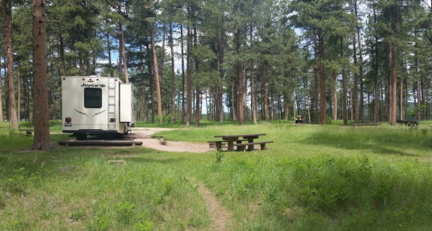 You'll Never Want To Leave This Secluded Pine Tree Campground In South Dakota