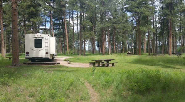 You’ll Never Want To Leave This Secluded Pine Tree Campground In South Dakota
