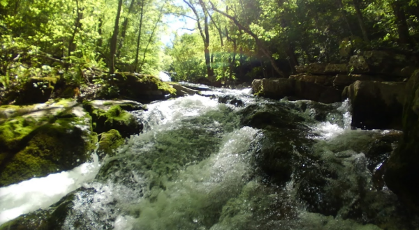 The Roaring River Spring In Virginia That Rivals Any Attraction In The World