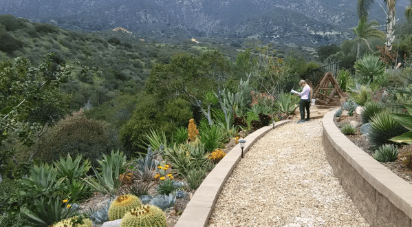 The Secret Garden Hike In Southern California Will Make You Feel Like You’re In A Fairytale