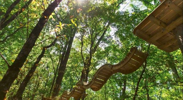 The Treetop Trail That Will Show You A Side Of Indiana You’ve Never Seen Before