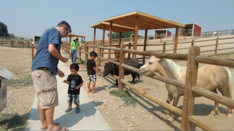 This Little Known Exotic Petting Zoo In Idaho Is Fun For The Whole Family