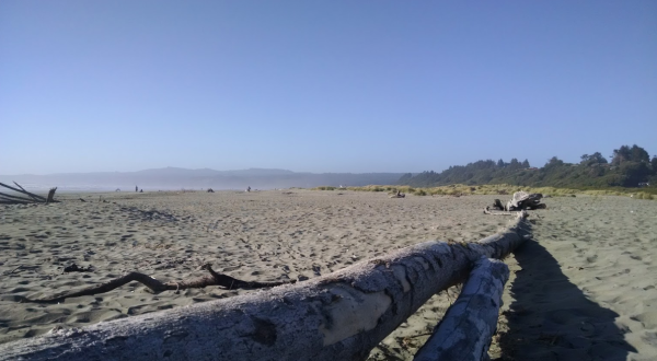 You’ll Love This Secluded Northern California Beach With Miles And Miles Of White Sand