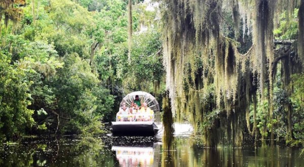 6 Once-In-A-Lifetime Animal Encounters You Can Have Right Here In New Orleans