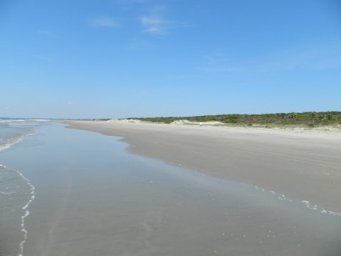 The Amazing Sand Dollar Beach Every South Carolinian Will Want To Visit