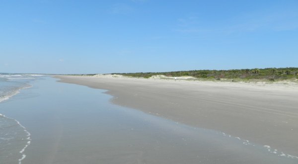 The Amazing Sand Dollar Beach Every South Carolinian Will Want To Visit