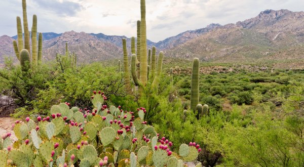 This Magical State Park Is So Perfectly Arizona That You’ll Want To Visit ASAP