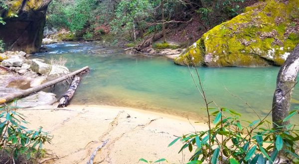 The Hike To This Gorgeous Kentucky Swimming Hole Is Everything You Could Imagine