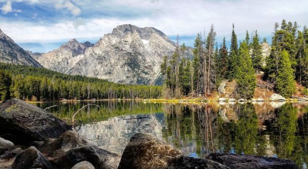 This Easy Wildflower Hike In Wyoming Will Transport You Into A Sea Of Color