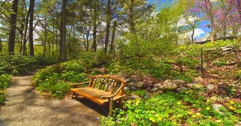 The Secret Garden Hike In Massachusetts Will Make You Feel Like You’re In A Fairytale