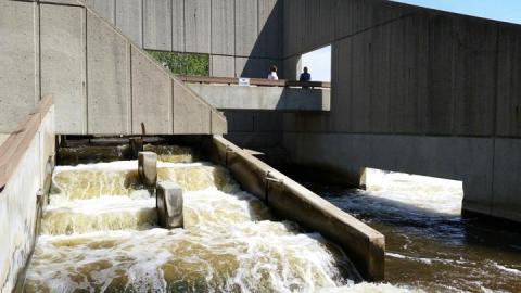 This Might Just Be The Most Unique Park In All Of Michigan