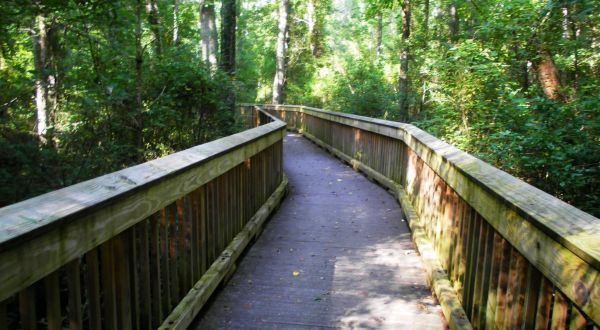 This Beautiful Boardwalk Trail In Virginia Is The Most Unique Hike Around