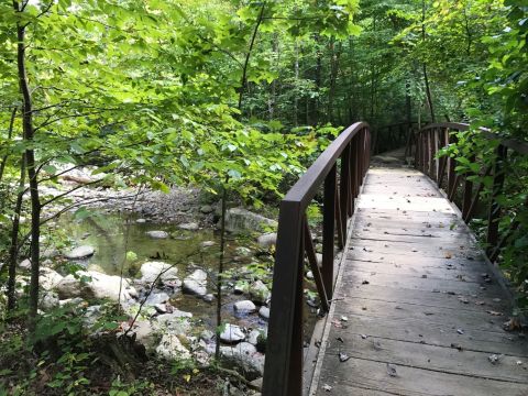 The Trail In Virginia That Will Lead You On An Adventure Like No Other