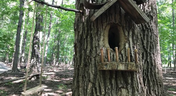 Most People Have No Idea There’s A Fairy Trail Hiding In New York And It’s Magical