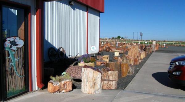 One Of The Most Unique Stores In America Is Right Here In Arizona And You’ll Love Your Visit