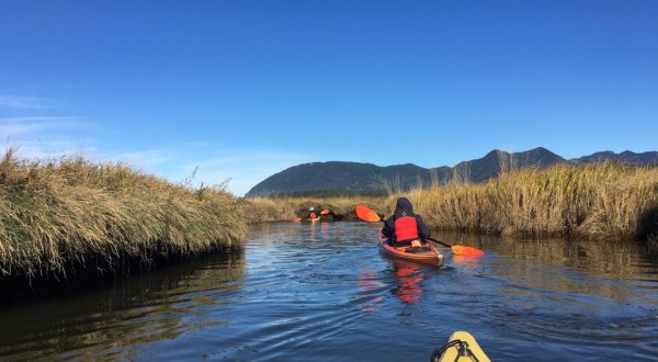 Take This Guided Kayak Tour In Oregon For An Unforgettable Experience
