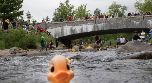The Quirky Rubber Duck Race That Is So New Hampshire