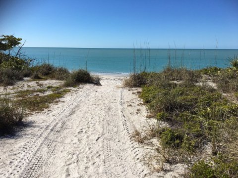 You'll Love This Secluded Florida Beach With Miles And Miles Of White Sand