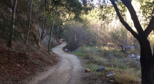 The Waterfall Trail Tucked Inside An Enchanted Forest Is One Of Southern California’s Hidden Treasures