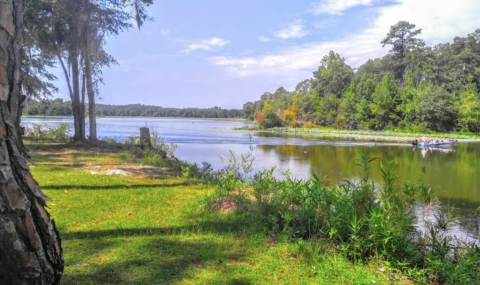 9 Lesser-Known State Parks In Alabama That Will Absolutely Amaze You