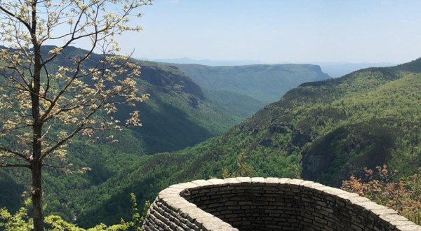The Easy Trail In North Carolina That Will Take You To The Top Of The World