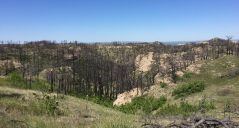 The Easy Trail In Nebraska That Will Take You To The Top Of The World