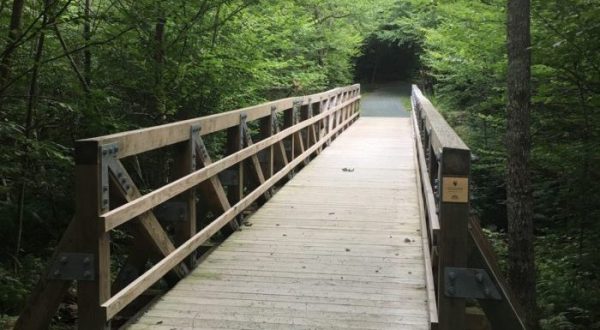 There’s A Boardwalk Trail Hiding In The Middle Of A Virginia Forest And You’ll Want To Find It
