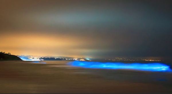 California’s Bizarre Glowing Waves Need To Be Seen To Be Believed