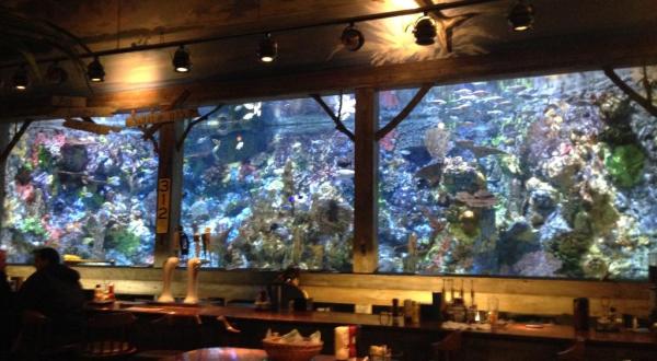 Visit Mississippi’s Aquarium Restaurant For An Unforgettable Dining Experience