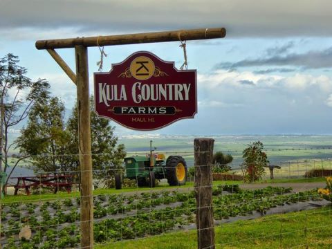 The Rural Farm In Hawaii That Is What Dreams Are Made Of