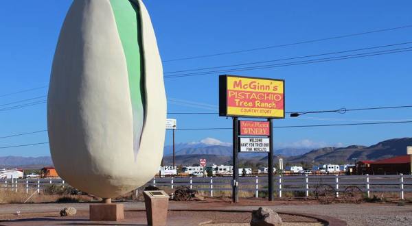 You’ll Go Nuts For The World’s Largest And Wackiest Attraction Right Here In New Mexico