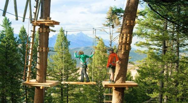The Stomach-Dropping Canopy Walk You Can Only Find In Wyoming