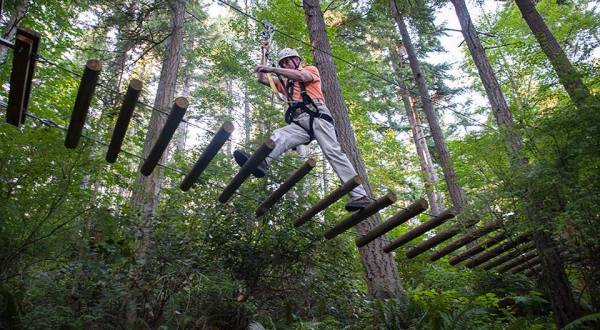 The Treetop Trail That Will Show You A Side Of Washington You’ve Never Seen Before