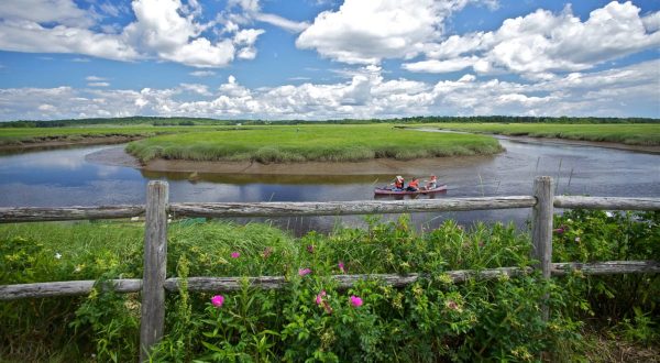 There’s An Incredible Marsh Hiding In Maine And It’s The Perfect Spot For A Day Trip